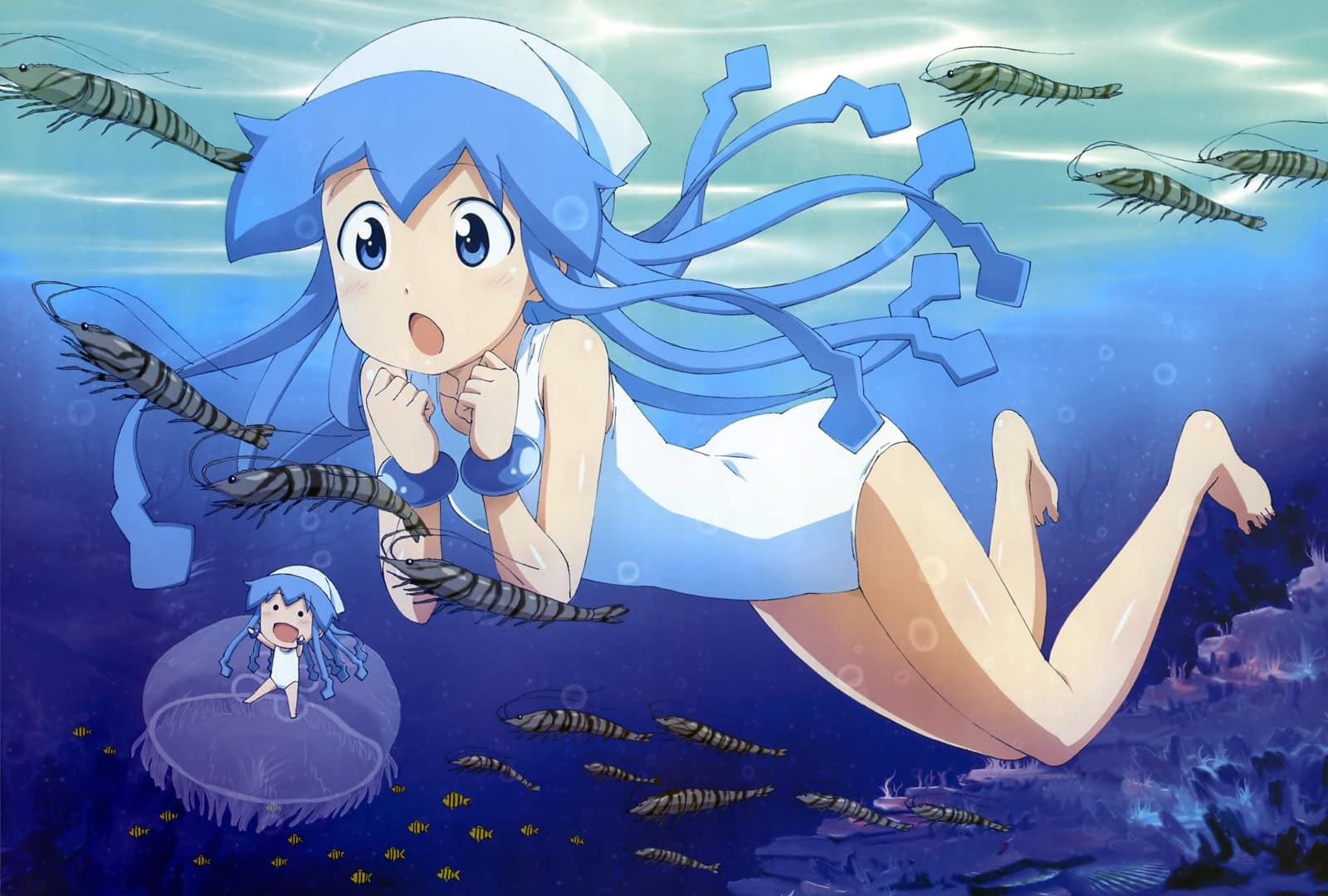 Squid girl