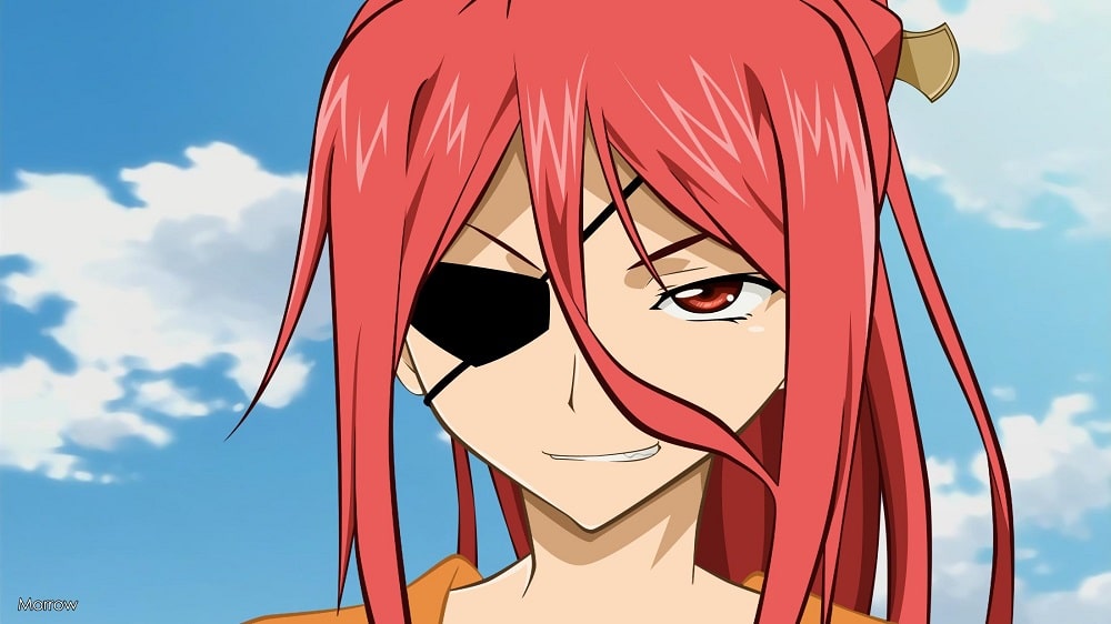 Arashi Nikaidou