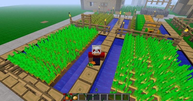 Carrots Farming in Minecraft
