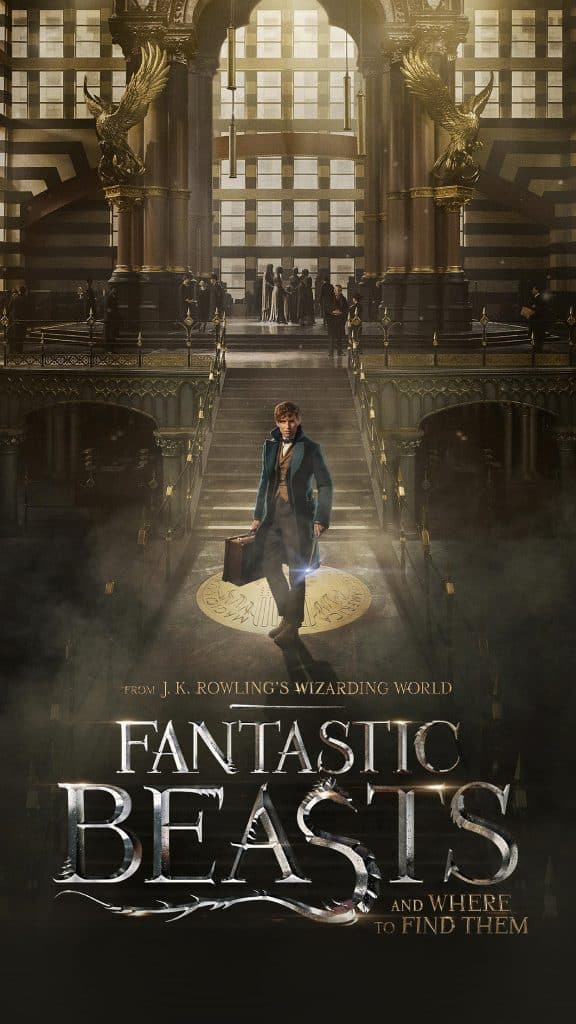 Fantastic beasts and where to find them film illustration art