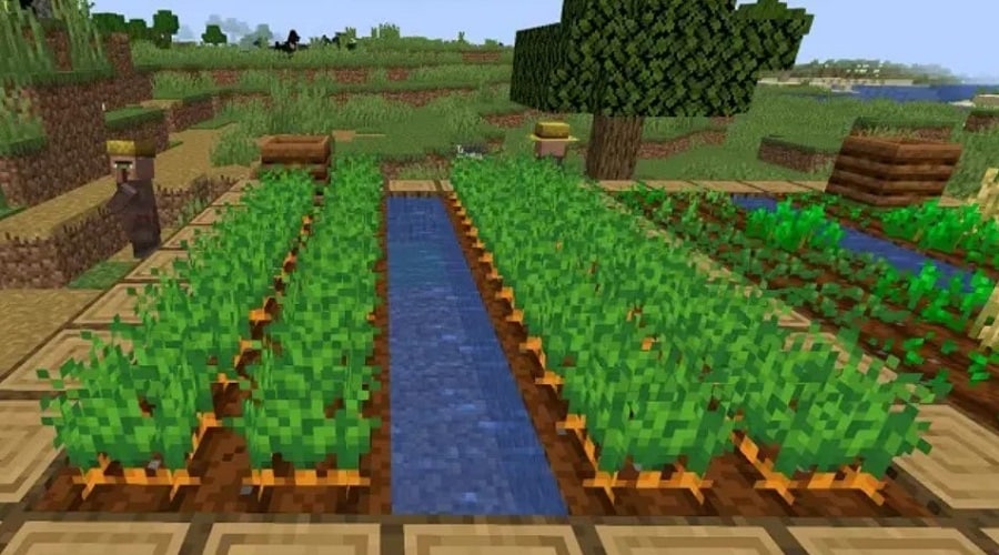 How to Find Carrots in Minecraft
