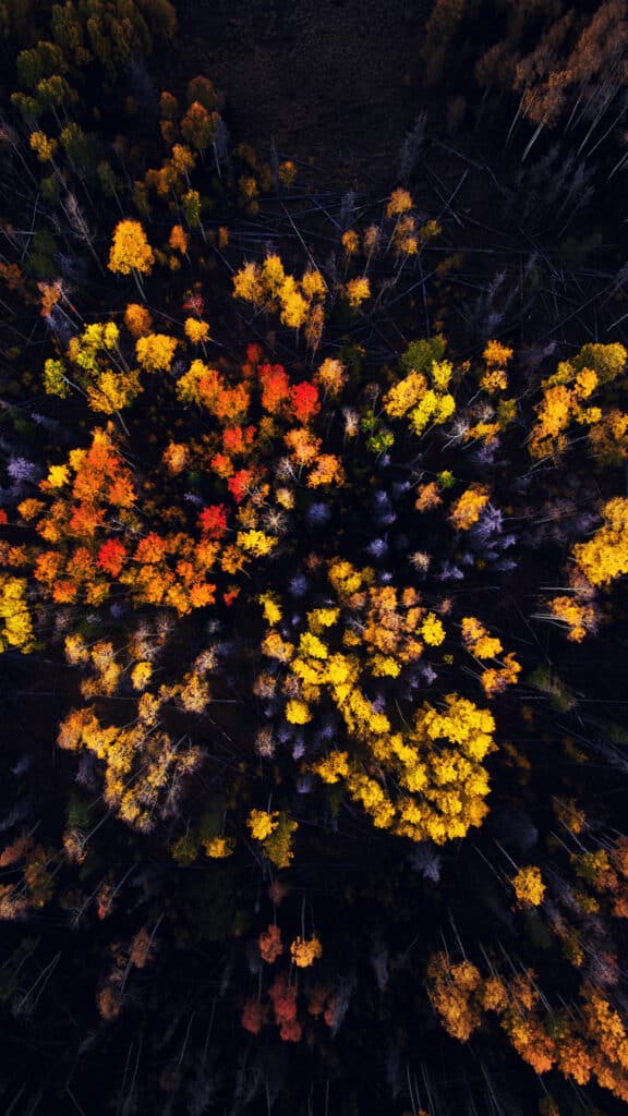 Wood mountain top sky color fall pattern