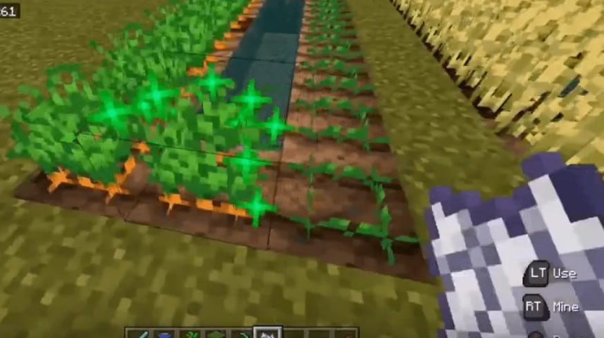 grow carrots in Minecraft