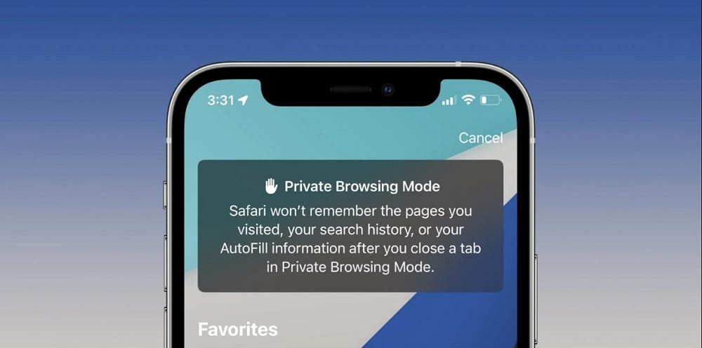 Track Private Browsing History in Safari on iPhone