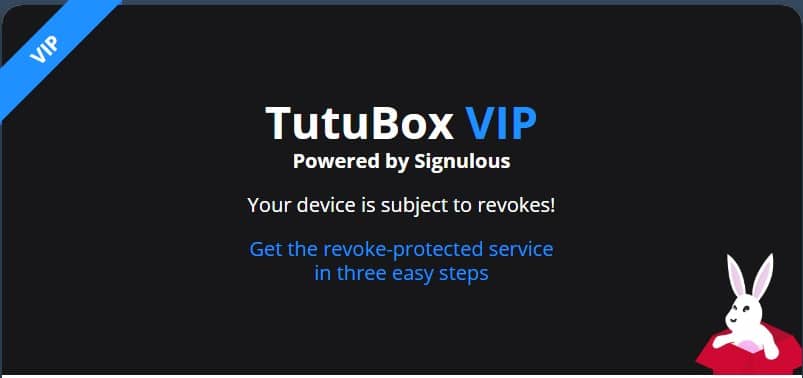 TutuBox