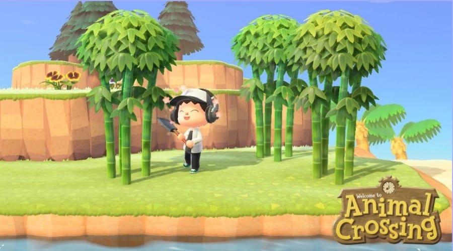 How to Plant Bamboo in Animal Crossing