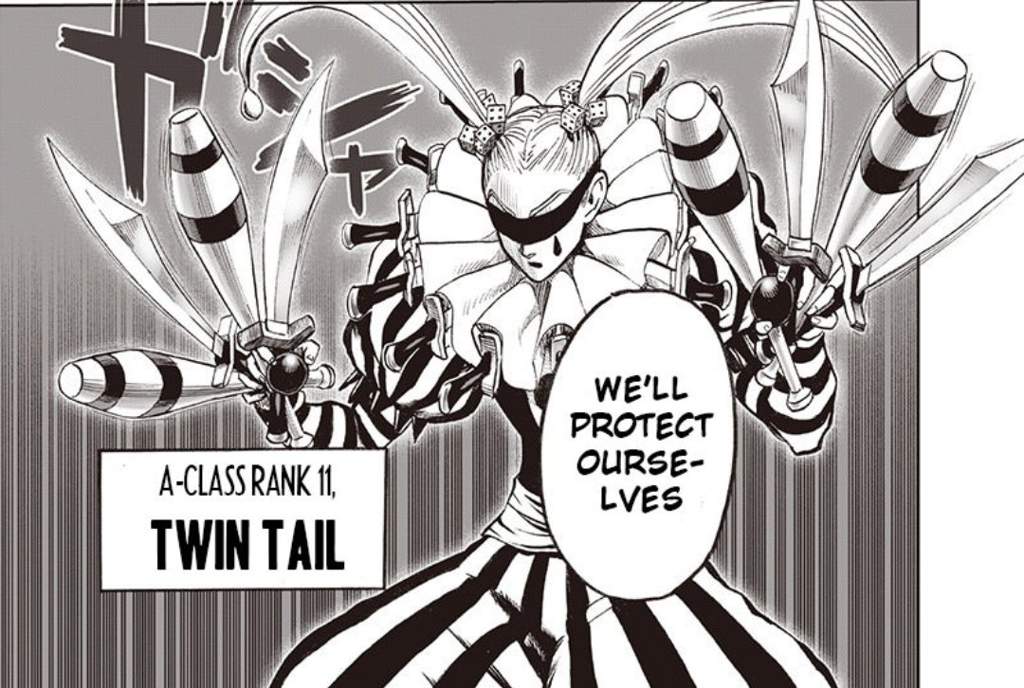 Twin Tail