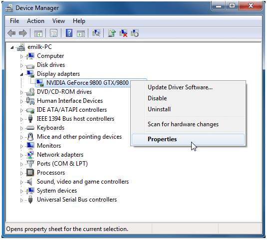 Click on Display Adapters