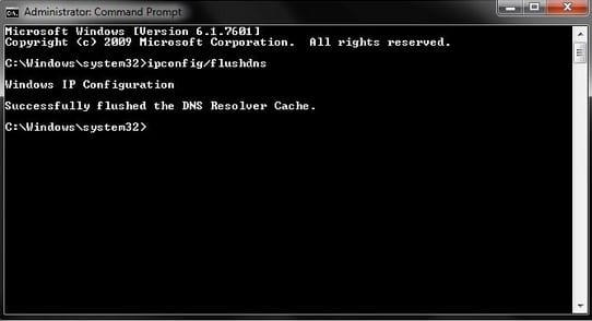 Command Prompt terminal for executing the flush Command