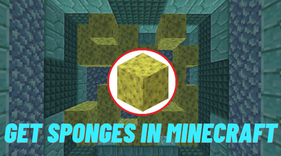 Get Sponges in Minecraft