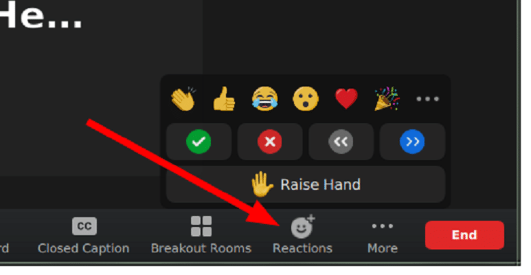 How To Raise Your Hand as a Participant in Zoom on Mac or PC (Click the Reaction icon)