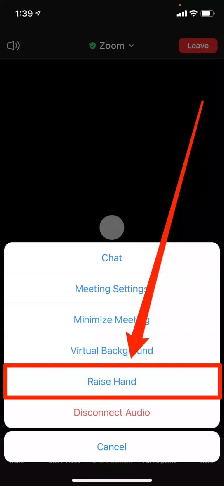 How to Raise Hand in Zoom Meeting Guide]