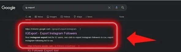 IGExport search result
