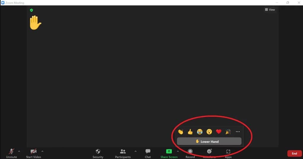 Raise Your Hand in Zoom On a Browser 3