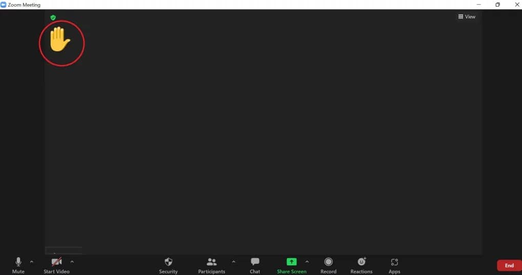Raise Your Hand in Zoom for Windows and Linux 3