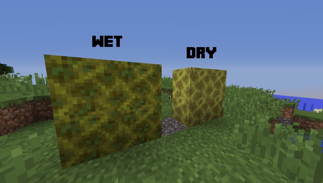 How to Get Sponges in Minecraft [Nov 2023] Ricky Spears