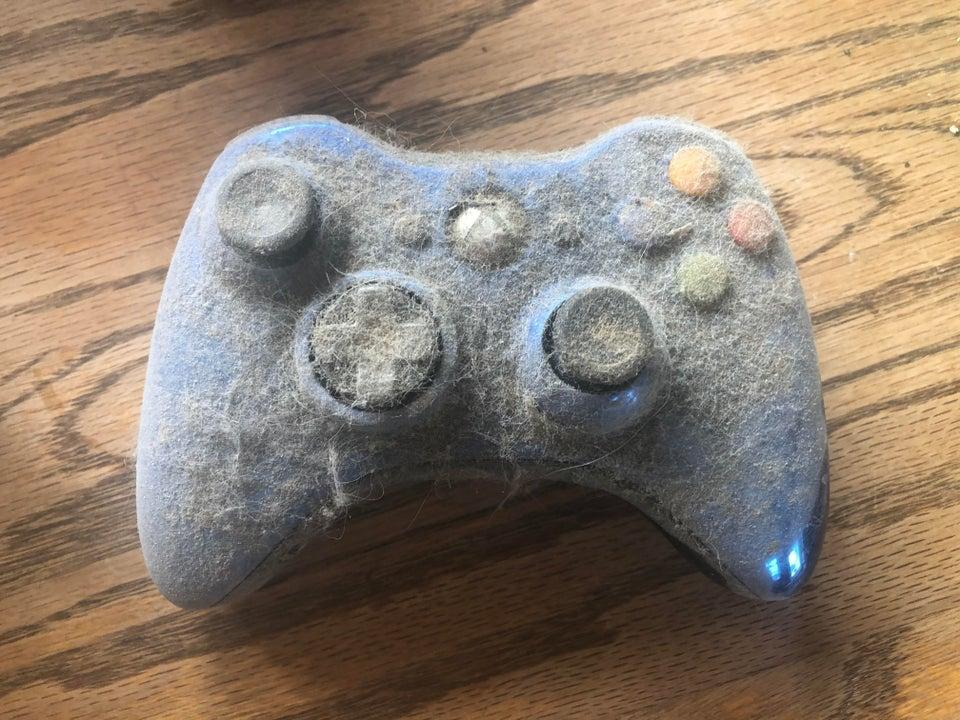 Xbox One Controller germs