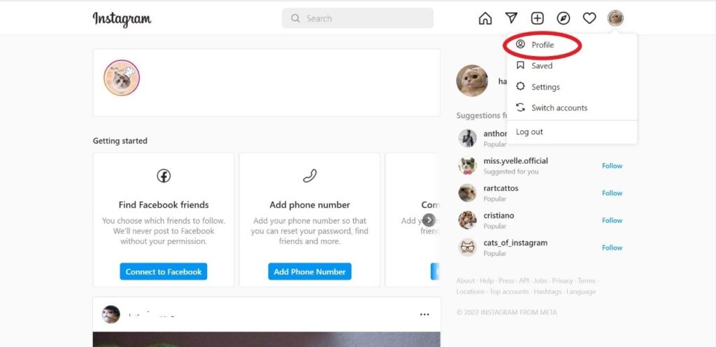 Click on your Profile Icon in Instagram