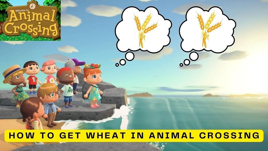 How to Get Wheat in Animal Crossing