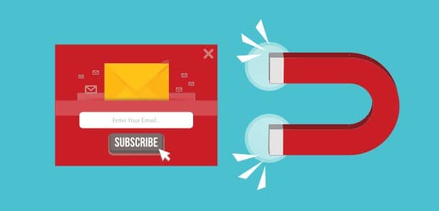 Identify Which Content Attracts the Most Subscribers