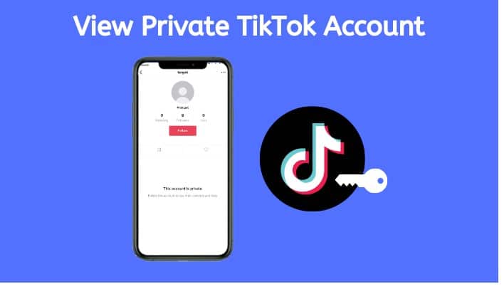 Private TikTok Account Vs. Public TikTok Account