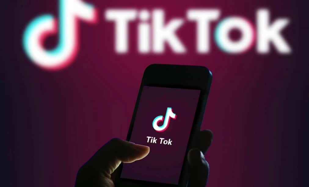 TikTok analytics section