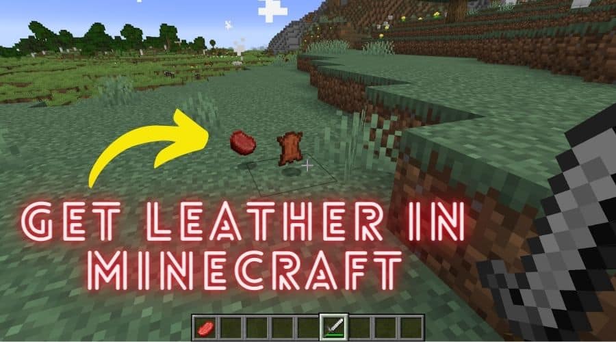 How To Get Leather In Minecraft