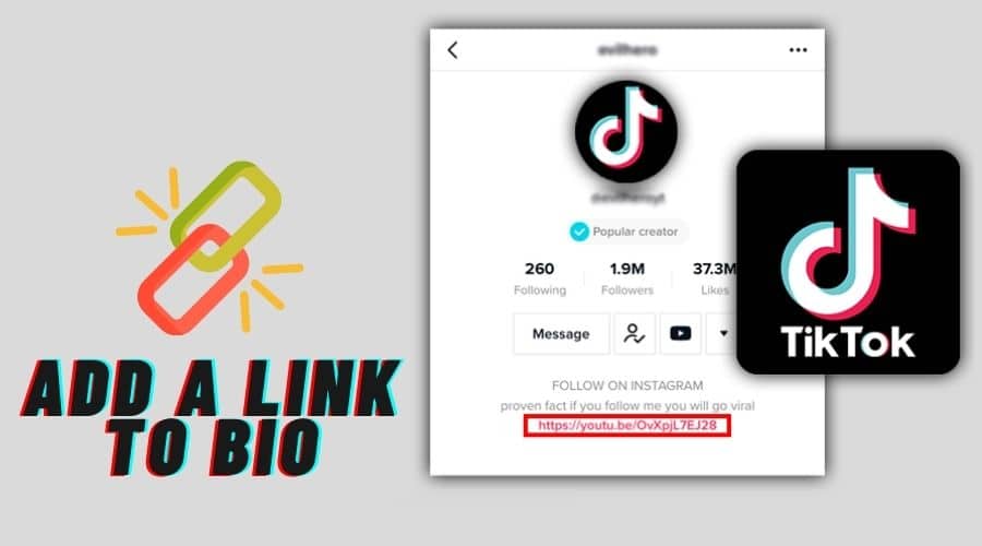 How to Add a Link to TikTok Bio