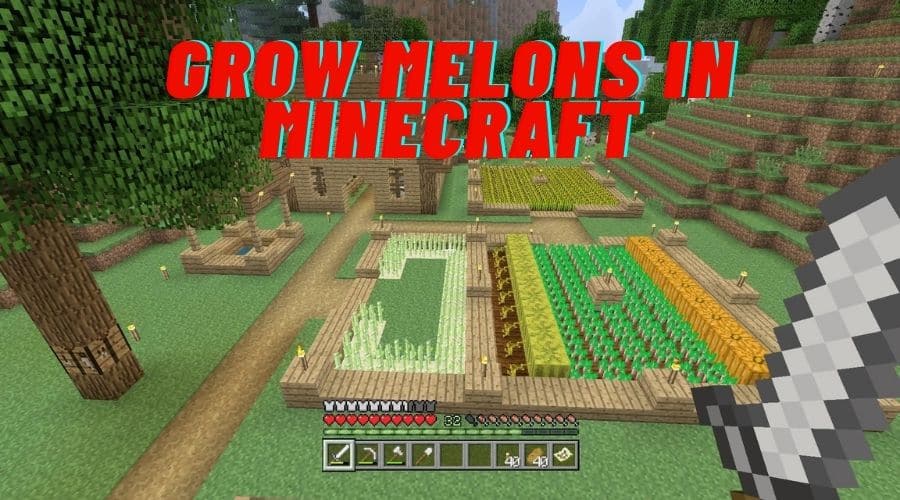 How to Grow Melons in Minecraft