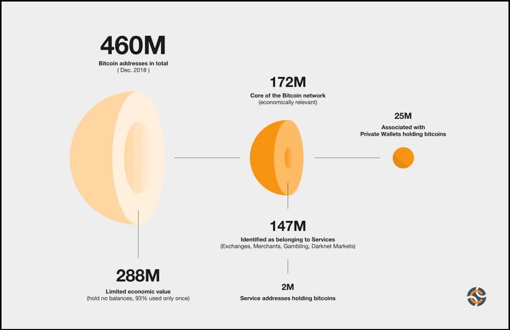 Bitcoin Leads the Pack in Terms of Popularity