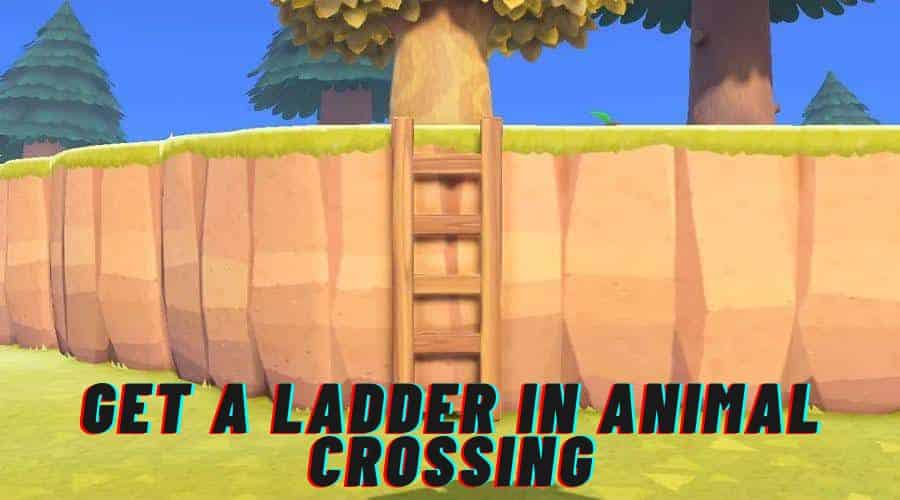 Get a Ladder in Animal Crossing