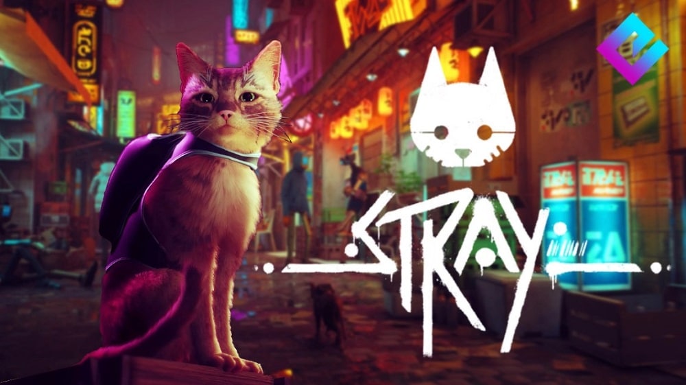 Stray