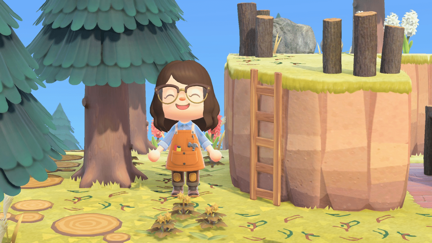 How to Get a Ladder in Animal Crossing New Horizons