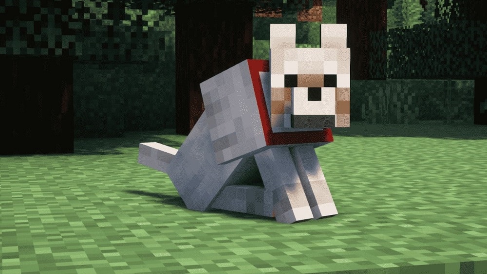 Get A Wolf In Minecraft