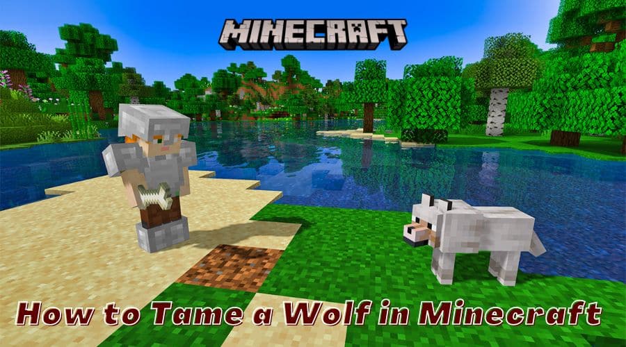 How to Tame a Wolf in Minecraft