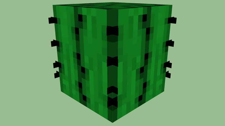 Cactus