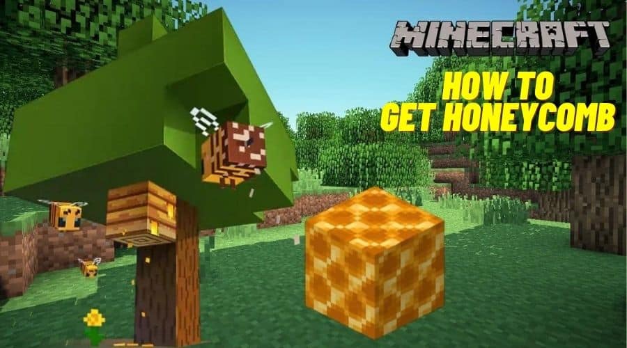 How to Get Honeycomb in Minecraft