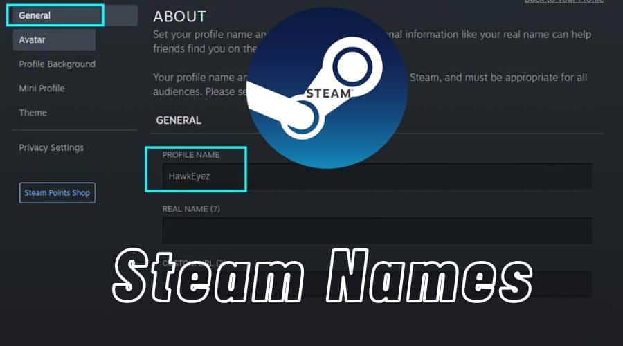 steam names