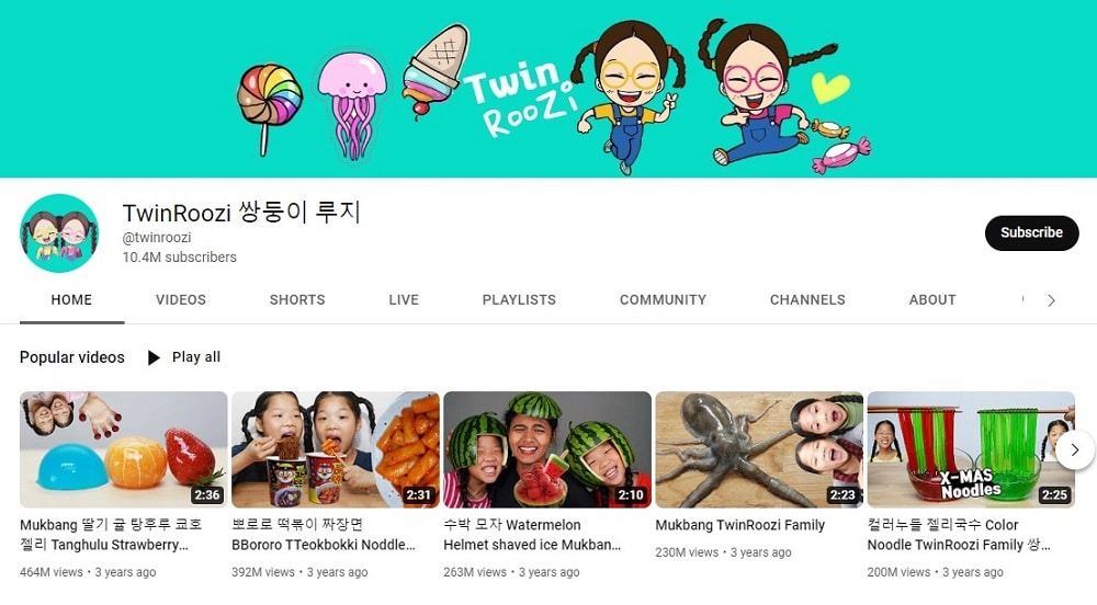 Twin ROOZI korean YouTubers
