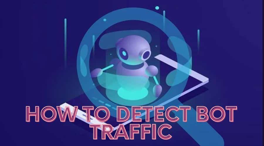 How to Detect Bot Traffic