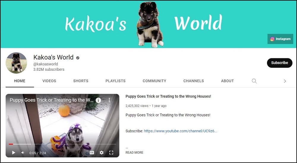 Kakoa's World Dog Youtubers