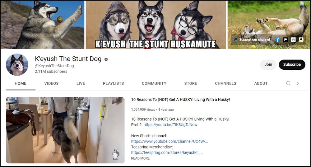 K’eYush the Stunt Dog Youtubers
