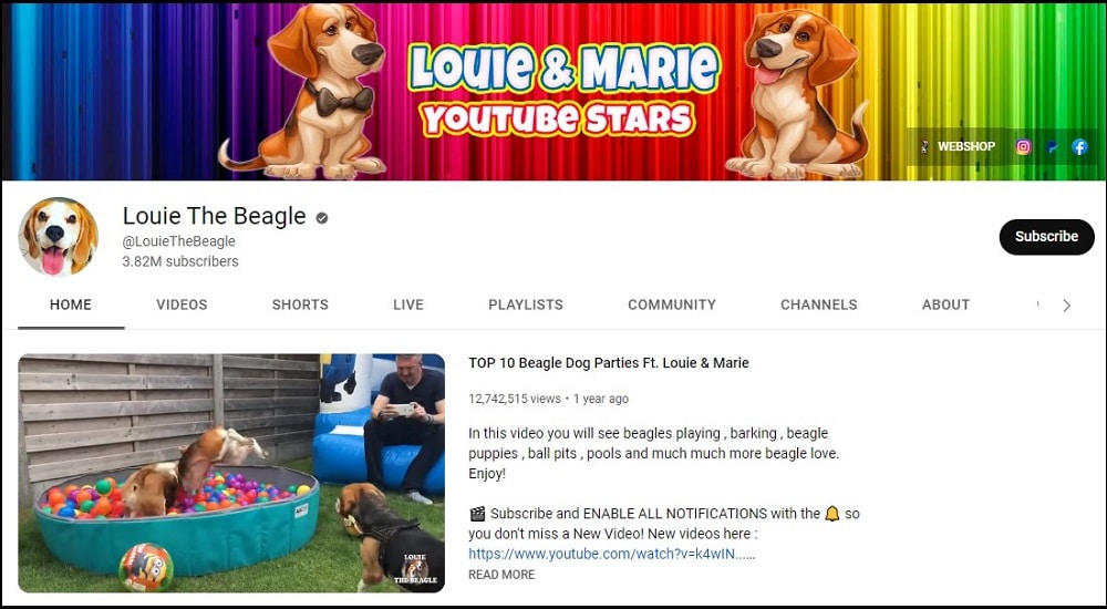 Louie The Beagle Dog Youtubers
