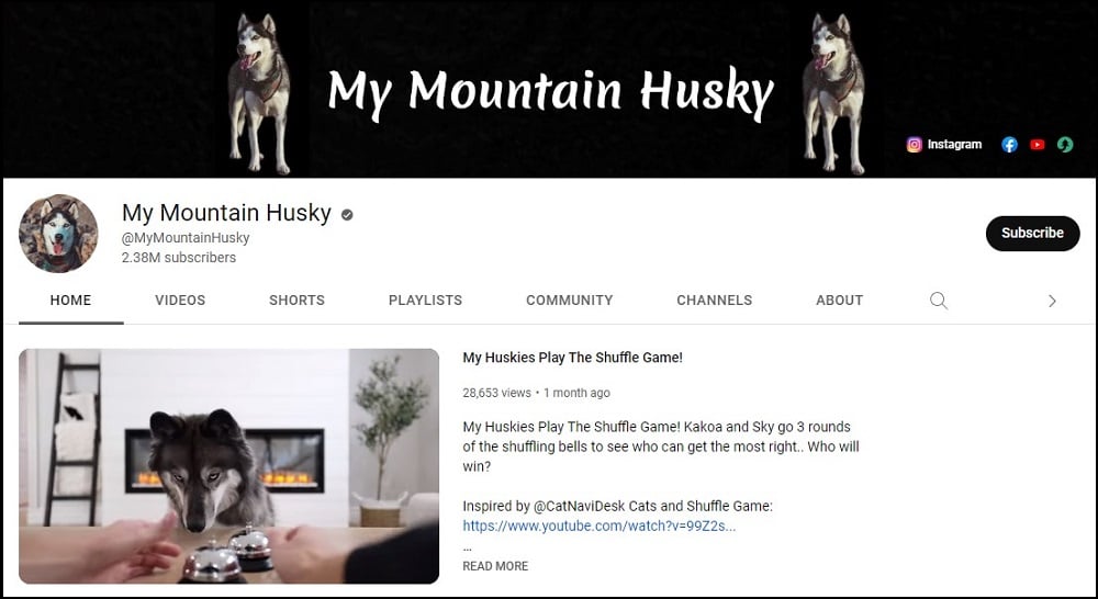 My mountain Husky Dog Youtubers
