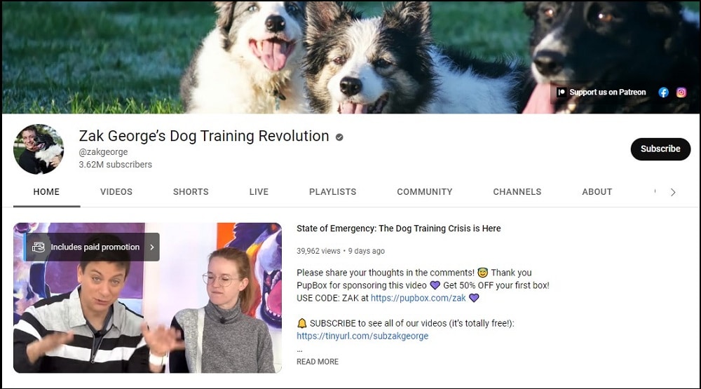 Zak George’s dog training revolution Youtubers