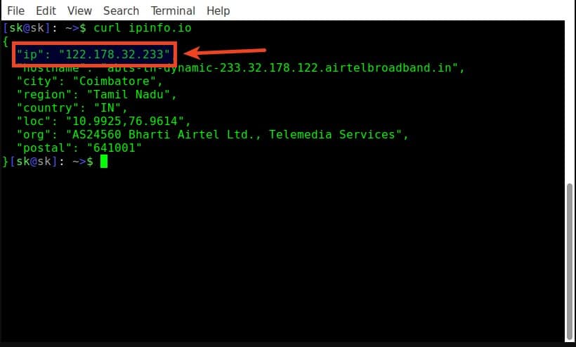 curl ipinfo.io command