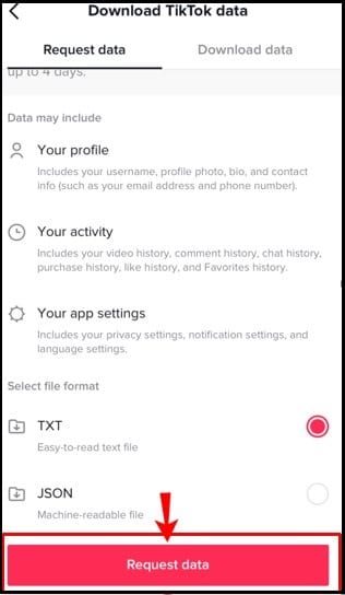 Request data file on Download TikTok Data