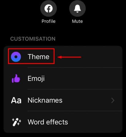 Theme Customise option