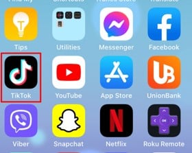 TikTok app on your device