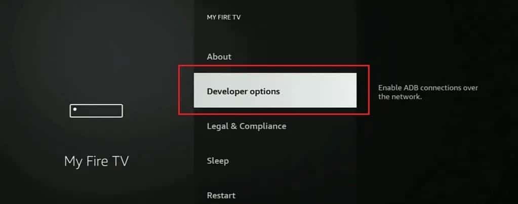 Developer options